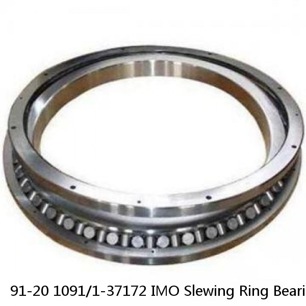 91-20 1091/1-37172 IMO Slewing Ring Bearings