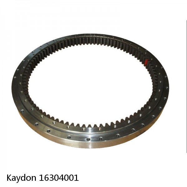 16304001 Kaydon Slewing Ring Bearings