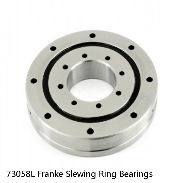 73058L Franke Slewing Ring Bearings