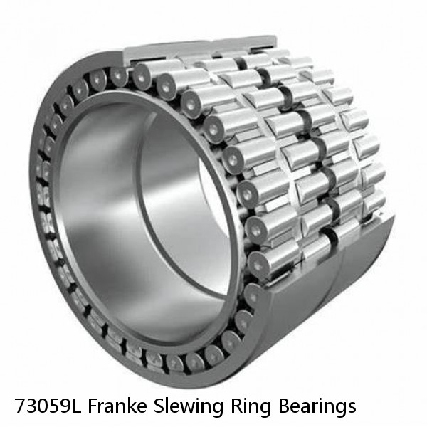 73059L Franke Slewing Ring Bearings