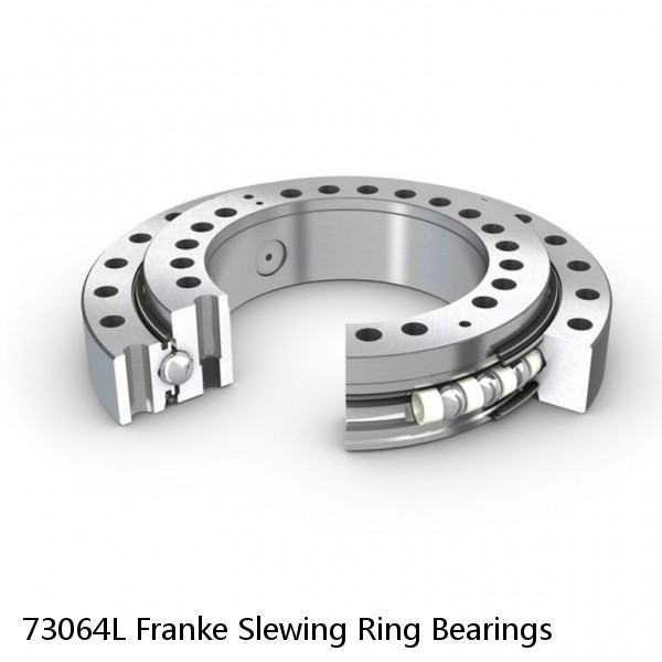 73064L Franke Slewing Ring Bearings