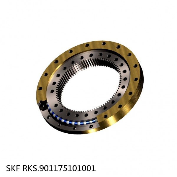 RKS.901175101001 SKF Slewing Ring Bearings