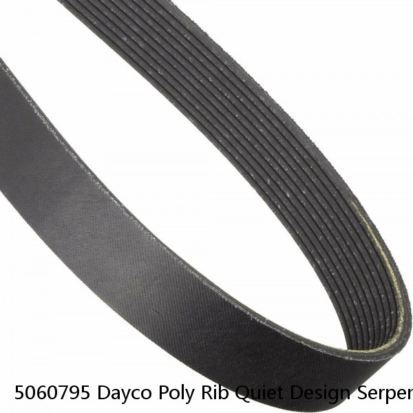 5060795 Dayco Poly Rib Quiet Design Serpentine Belt Made In USA 6PK2020