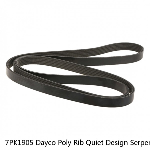 7PK1905 Dayco Poly Rib Quiet Design Serpentine Belt Free Shipping Free Returns